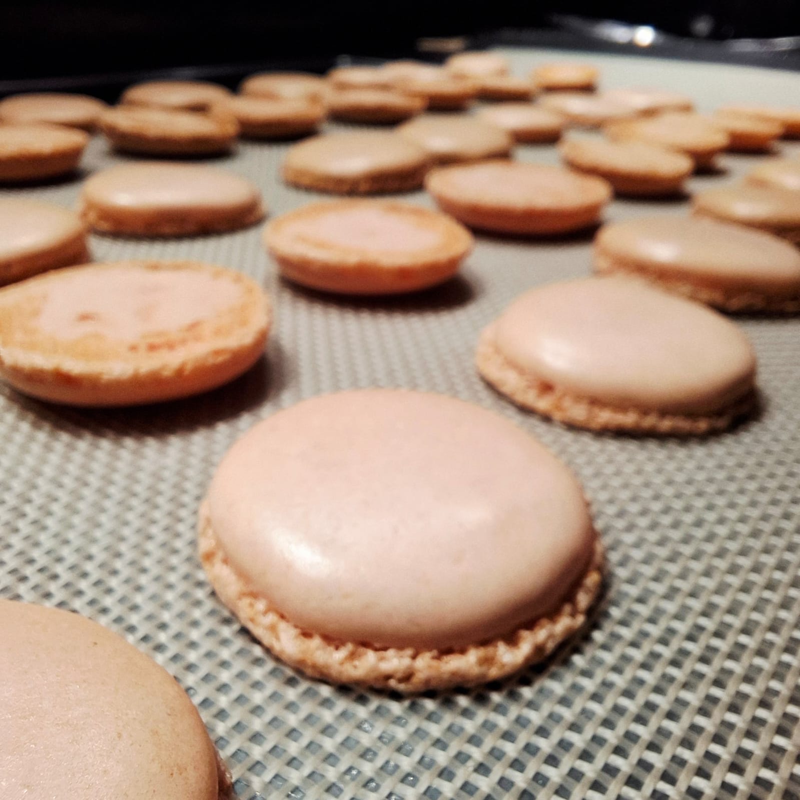 Masterclass "Macarons" - Image 2